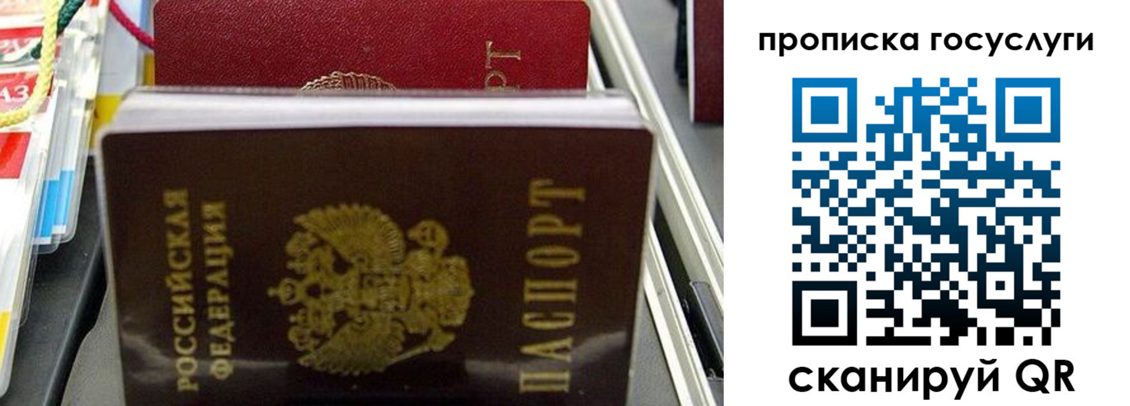 где прописаться в Зеленокумске